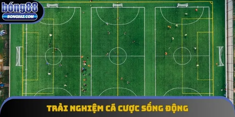 SBO Sport mang đến trải nghiệm cá cược sống động SBO Sport mang đến trải nghiệm cá cược sống động